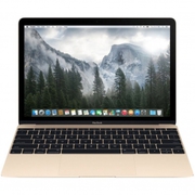 Apple MacBook MK4M2LL/A 12-Inch Laptop with Retina Display 256GB